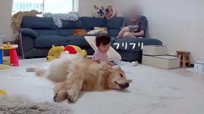 ほのちゃんを受け止めるおからちゃん