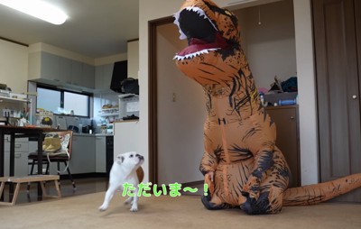 部屋に入るブルドッグ