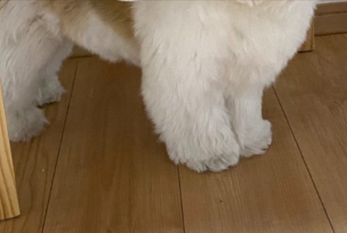 初めて