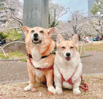 思わず笑ってしまった