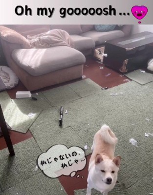 「私じゃないの…」