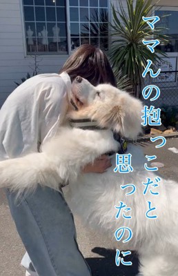 「なんか違う」