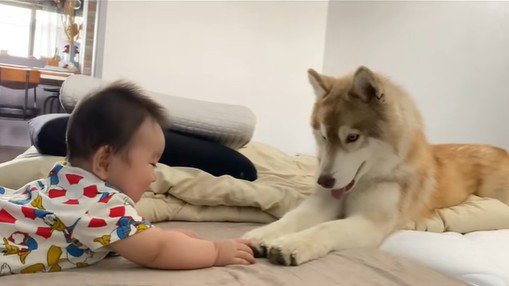 茶々丸くんと赤ちゃん4