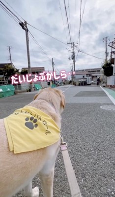 じっと見守ります