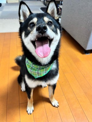 幸せそうな笑顔にホッコリ♡