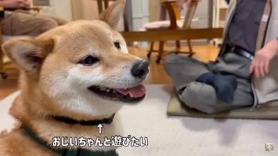 おじいちゃんと遊びたい富くん