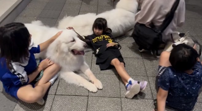 広がる幸せ空間