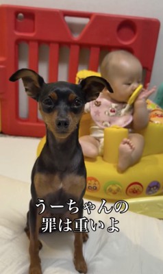 うにちゃん「そうなんですね」