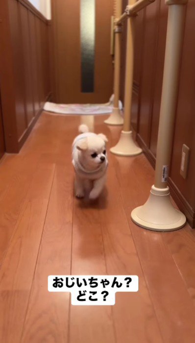 「トイレかな?」