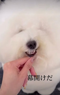 雰囲気もどんどん変化