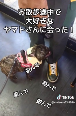 嬉しそうなヴィヴィちゃん