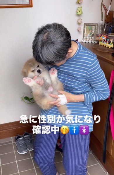 性別が気になる…