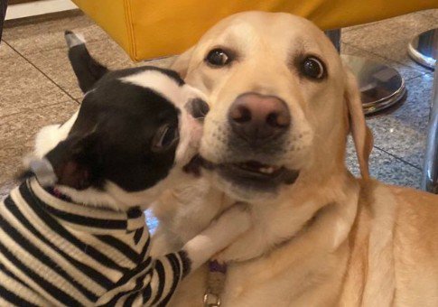 噛まれたんですけど…