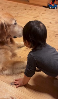 レアくんと赤ちゃんの寝る前の日課7