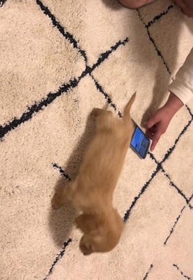 「今の何!?怖いよ~」