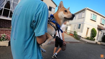 お父さんの看病をするワンジローくん⑩