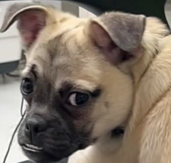 愛嬌たっぷり♡