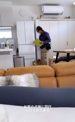 ちゃっかり足元に