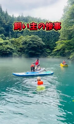 コマさんのハプニング8