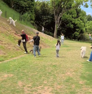 姿勢が不自然なおもちちゃん