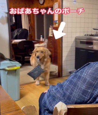 ポーチをくわえる犬