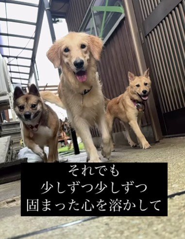 キラキラの笑顔に涙