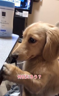 何位か考えるモナカくん