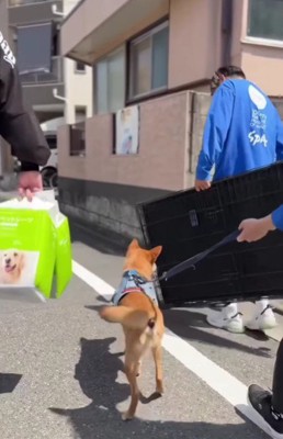 新しい家族の元へ