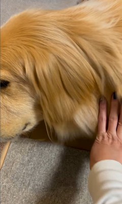 金髪サラサラヘアーのひなた君8