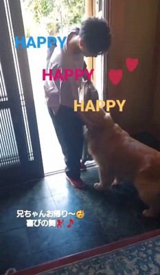 お出迎えする大型犬