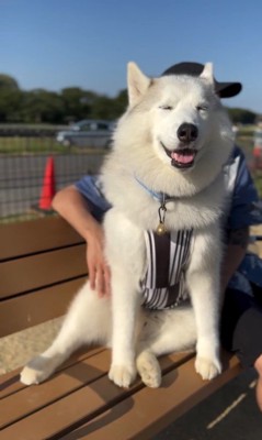 ボール遊びをするZIGGYくん&光合成をするMARLEYくん3