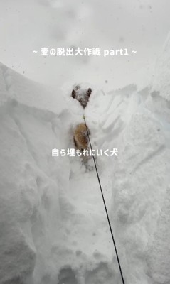 埋もれながら前進!