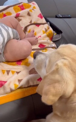 怒らないベルちゃん