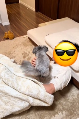 毛布の中から登場したパパとピーターくん