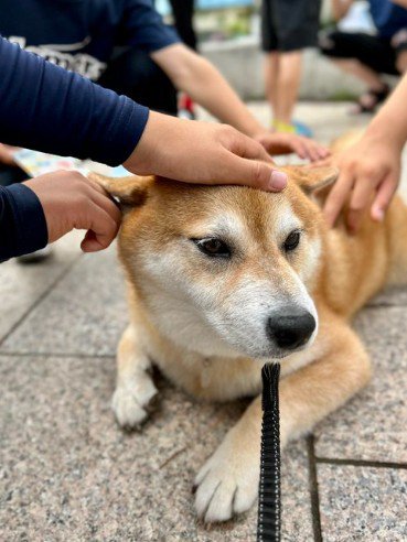 どこでも人気者♪