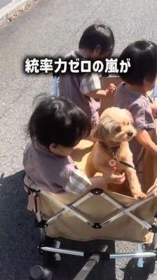 カートに乗っている犬と3人の赤ちゃん