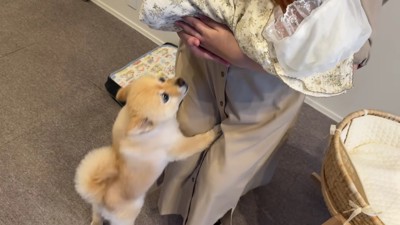 ドキドキの初対面♡