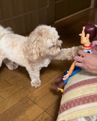 「あれ?」「なんで?」