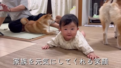 ひよりちゃんニッコリ