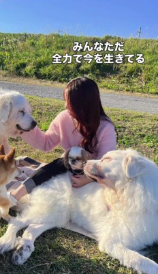 毎日が賑やかで楽しいんだ