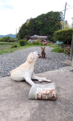 17歳になっても一緒