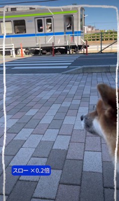 気付いた車掌さんが…