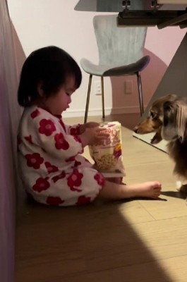 袋から取り出して…