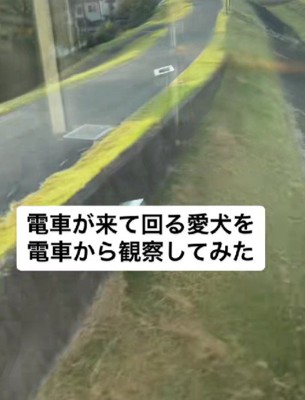 電車に乗ったのは…