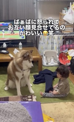 タイミング、完璧