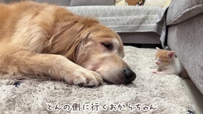 「安心してね」