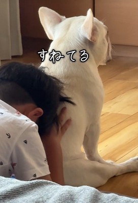 背中を貸してくれています