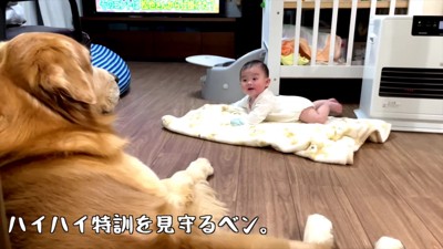 相変わらず無表情