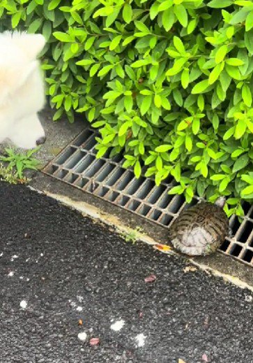 やっぱり怖い!?