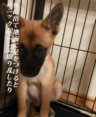 下を向くビギーくん